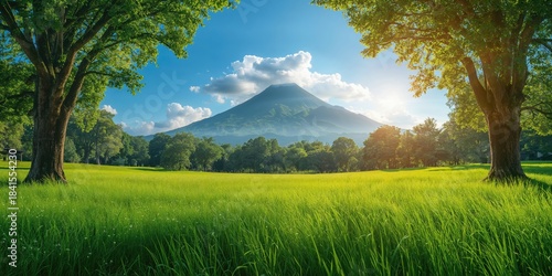 Fototapeta Naklejka Na Ścianę i Meble -  Nature-themed tourism in Thailand's parks and forests, seasonal change and preservation efforts