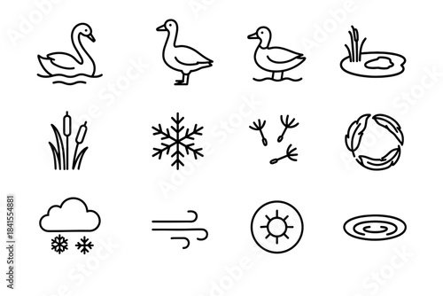 Frozen Birds Icons. Frozen landscape birds. Line outline icon set of Frozen landscape birds: swan, goose, duck