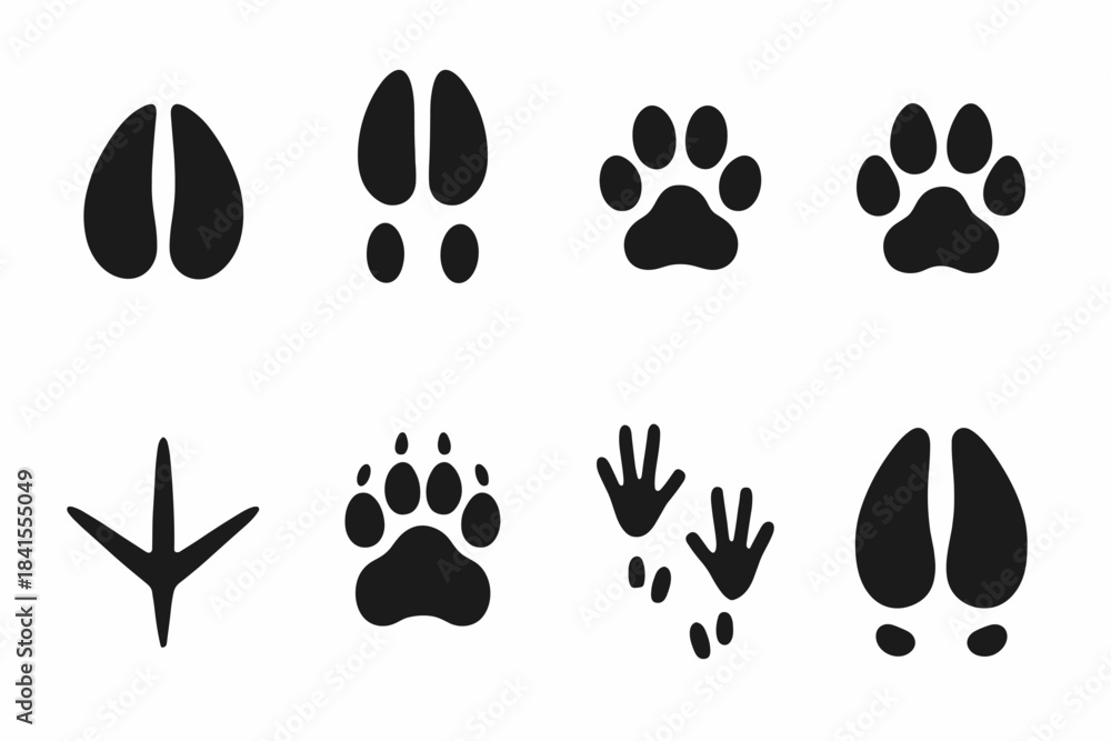 Fototapeta premium Winter Wildlife Footprints. Winter wildlife footprints. Filled icon set of winter wildlife footprints: deer