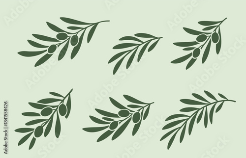 Olives branches set with green leaves and olives