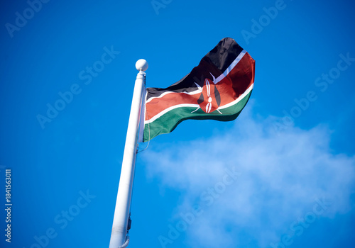 Εκτύπωση καμβά Kenyan flag