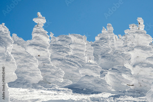 Fotografie Japanese people are traveling to see snow monsters on Mt. Zao.