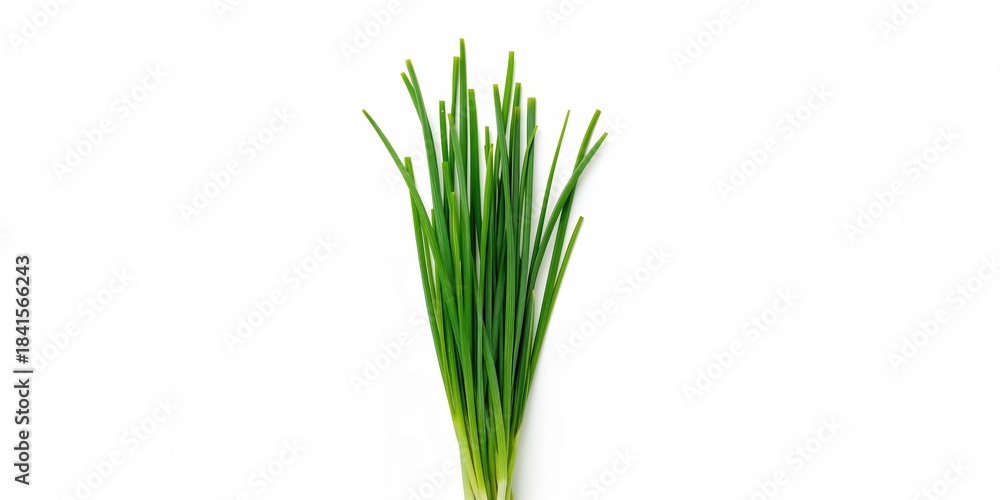 Obraz premium Garlic chives isolated on white background, suitable for culinary and herb garden layouts