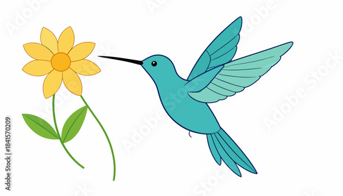 A turquoise hummingbird hovers near a yellow flower, illustrating nature's beauty and delicate interaction.