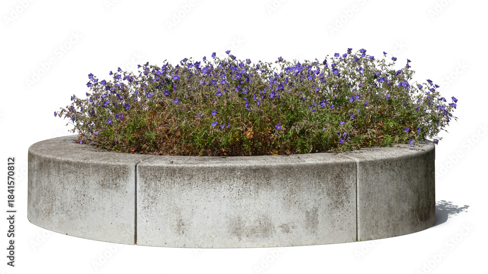 Fototapeta premium Blooming flowers in a round stone planter, isolated on white and transparent background