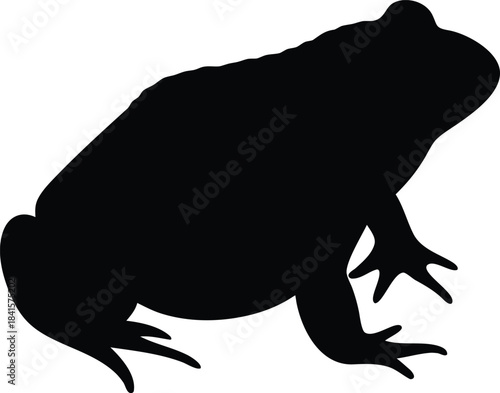 Amphibian creature silhouette of a frog sitting quietly in a side posture facing right