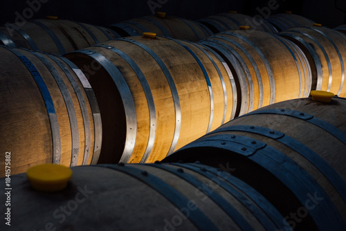 wine barrels in a cellar
