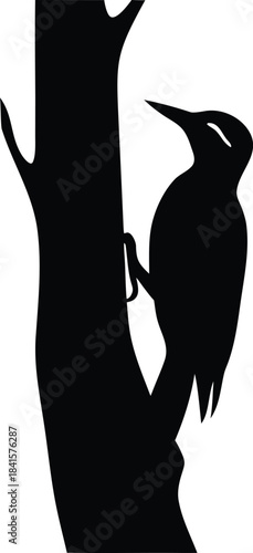 A black silhouette of a woodpecker bird climbing a tree trunk with its beak pointed upwards