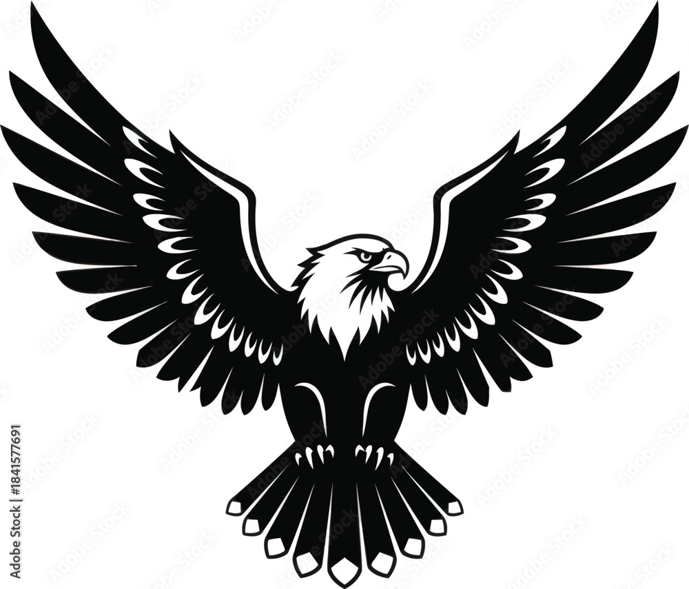 Obraz premium Eagle With Spread Wings Power Illustration