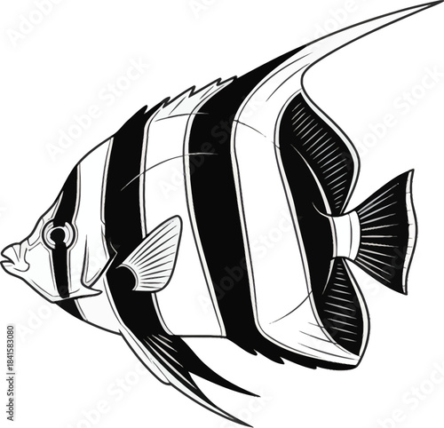 Tropical Fish Black White Vector