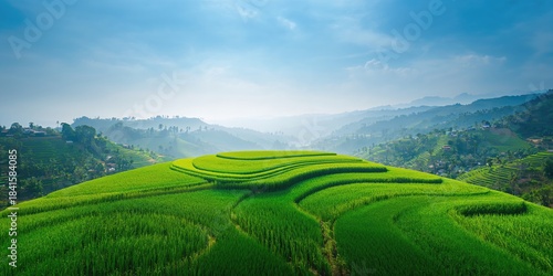 Fototapeta Naklejka Na Ścianę i Meble -  Aerial view of lush farmland under a summer sky, suitable as a background for nature-themed layouts