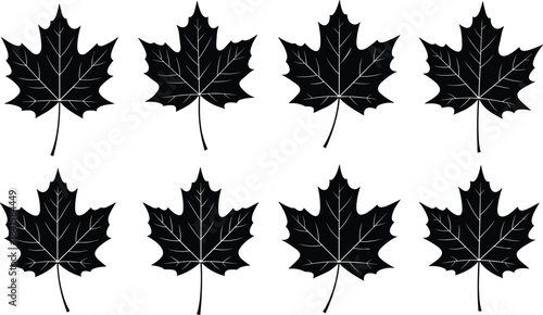 Collection of eight black and white maple leaf silhouettes in a row, graphic nature element set with detailed vein patterns, traditional Canadian symbol vector illustration on a white background.