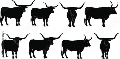 Collection of Texas Longhorn cattle silhouettes in various poses, featuring impressive long horns, black vector set for ranch, farm, and western concepts.