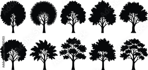 Collection of various deciduous tree silhouettes, including oak, maple, and generic shapes, black vector set for nature, forest, and landscape design elements.