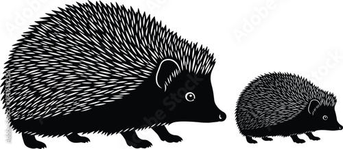 Black Silhouette Vector of Two Hedgehogs, Including an Adult and a Juvenile, Illustrating Wildlife, Spiky Fur, Size Contrast, Mammals, and Nature Animals Illustration