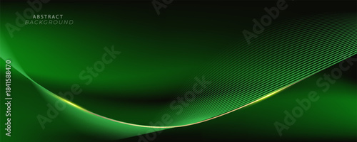 PrAbstract background using dark green tones on a black background. The lines and curves are like gentle and flowing waves, creating a sense of freshness and energy.int