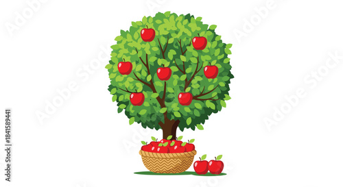 Lush green apple tree full of ripe red apples with a wicker basket overflowing with harvested fruit at its base in the summer.