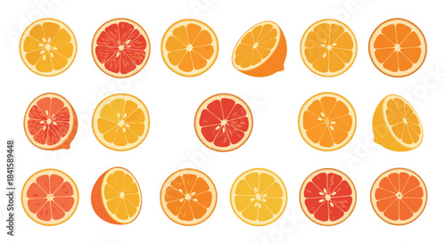 Set of colorful citrus fruit slices including orange lemon and grapefruit viewed from different angles on a plain white background.