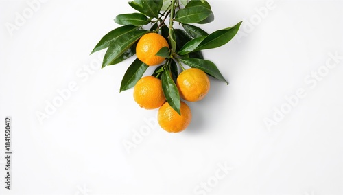 Fototapeta Naklejka Na Ścianę i Meble -  Colorful ripe fruits displayed on white surface, highlighting natural nutrition