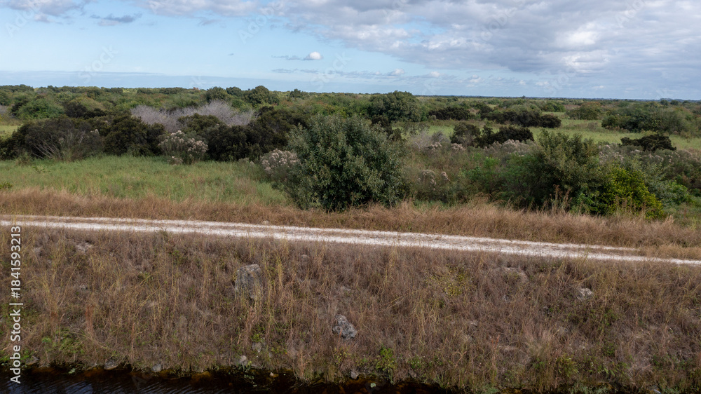 Fototapeta premium Parkland Florida