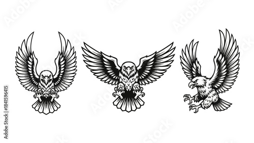 Stunning collection of fierce attacking eagle emblems perfect for dynamic sports team branding or powerful logo designs