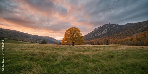 Fototapeta Naklejka Na Ścianę i Meble -  Landscape of a pasture during fall with rocky mountains, a yellow tree, and colorful sky, seasonal transition