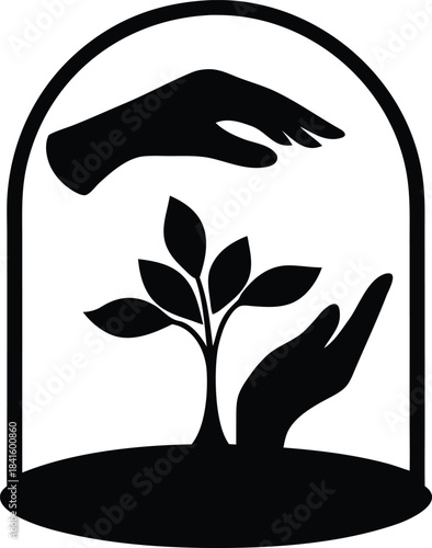 Caring Hands Protecting a Young Green Plant Under a Clear Glass Dome