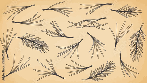 Multiple pine needles scattered on warm beige background with soft natural lighting creating serene mood