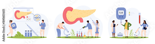 Pancreas checkup, diabetes set. Tiny people check endocrine gland health, study medical tests of patient with microscope, measure blood sugar level with glucometer cartoon vector illustration