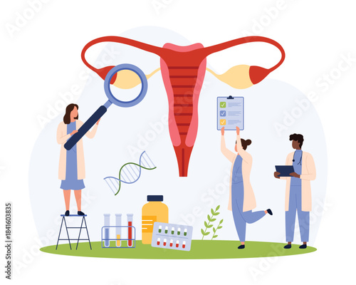 Health of female reproductive system, gynecology checkup vector illustration. Cartoon tiny people check diagram of ovary, cervix, fallopian tubes with magnifying glass, gynecologists examination