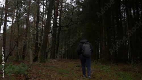 Wallpaper Mural A person wearing a black puffer jacket and backpack walks away from the camera into a dense, dark autumn forest, surrounded by fallen leaves, dry undergrowth, and tall, bare trees. Torontodigital.ca