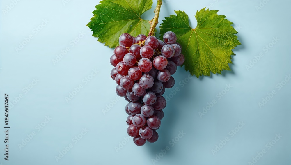 Fototapeta premium Bunch of fresh grapes with foliage on a pastel blue surface, ideal for fruit-themed backgrounds