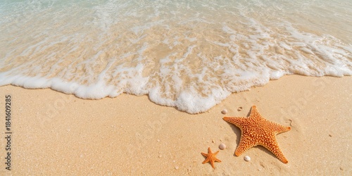 Fototapeta Naklejka Na Ścianę i Meble -  Starfish on a sandy beach during sunny weather, ideal for summer vacation imagery