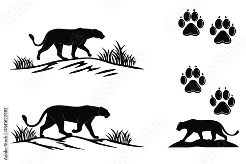 Black Panther Silhouette: A striking artistic portrayal of black panther, set against an environment backdrop and paw prints.