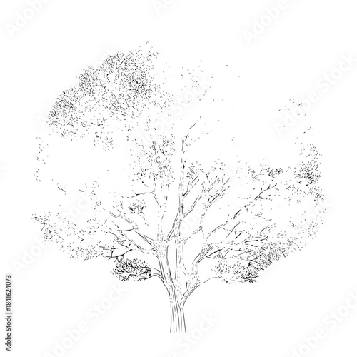 Solid black background with vast copy space, a minimalist dark void for abstract concepts and dramatic visual effects, providing a clean and elegant backdrop.