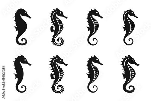 Ocean's Silhouette: Eight seahorses grace a tranquil space, their elegant forms painted in stark, contrasting black and inviting a sense of wonder and mystery.