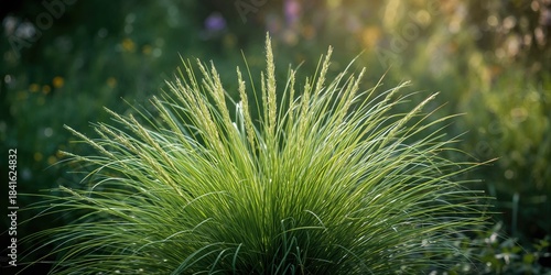 Green foliage leaves and st...