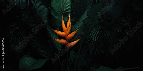 Vivid orange blossom surrou...
