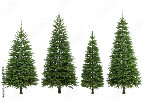 Collection of four freshly cut natural evergreen fir trees of varying sizes displayed against a seamless white studio background with clean high-key commercial lighting. Concept for winter holiday