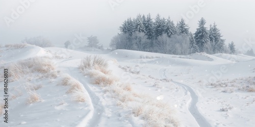 Fototapeta Naklejka Na Ścianę i Meble -  A wintertime dune path with snow-covered sand dunes, seasonal erosion risk, holiday observance Winter Solstice