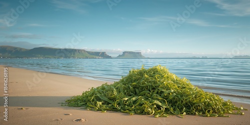 Sandy beach with a large pi...