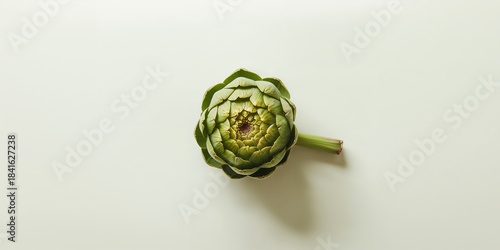 Artichoke isolated against ...