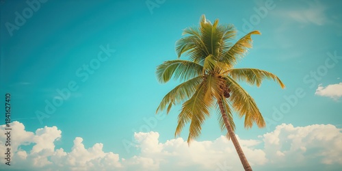 Tropical coconut palm set a...