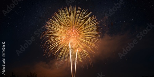 Vivid fireworks display lig...