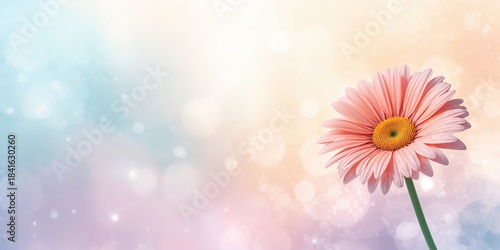 Pastel-colored flower in a ...