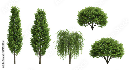 five distinct deciduous tree specimens (columnar, weeping, pyramidal) isolated on a seamless white background in high-key lighting, highly detailed architectural visualization asset concept