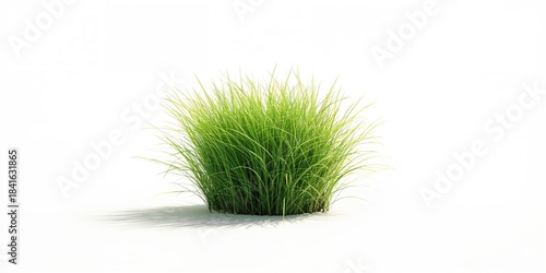 Isolated lawn segment on a ...