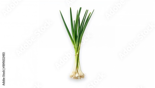 Close-up of spring onions a...
