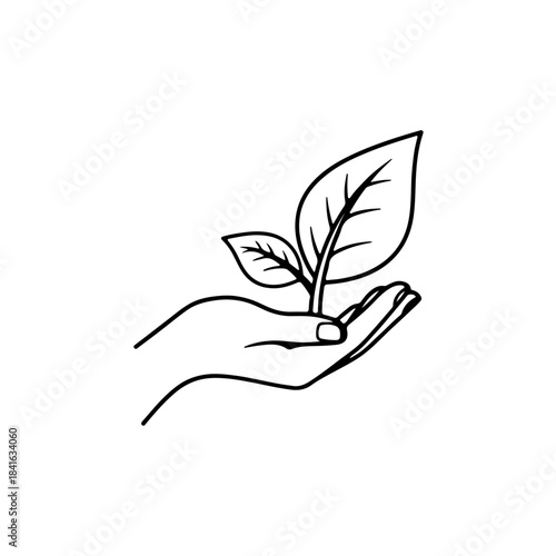 Hand gently holding a young plant symbolizing care and new growth isolated on transparent background