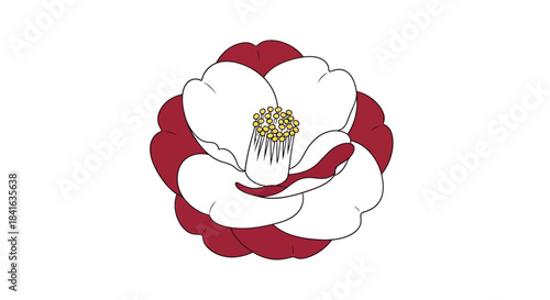 Crimson and ivory camellia illustration displaying floral beauty and graceful artistic rendering